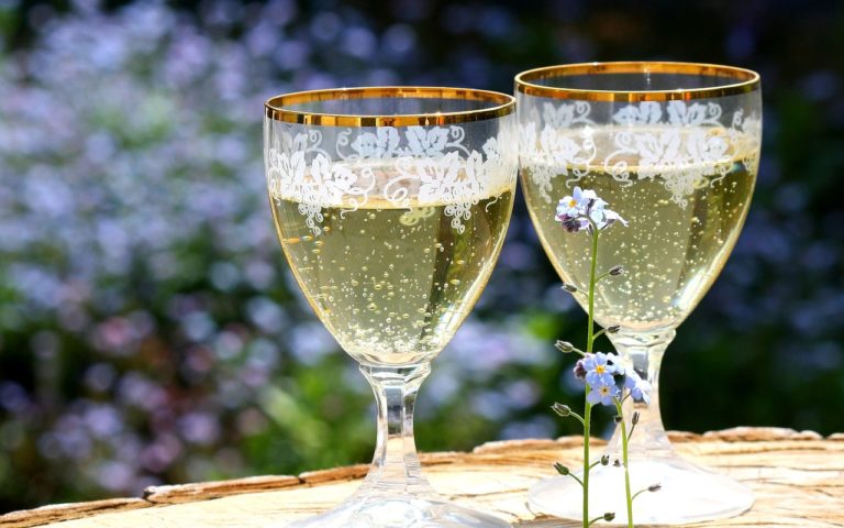 WELCOME BACK MEMBERS COCKTAIL