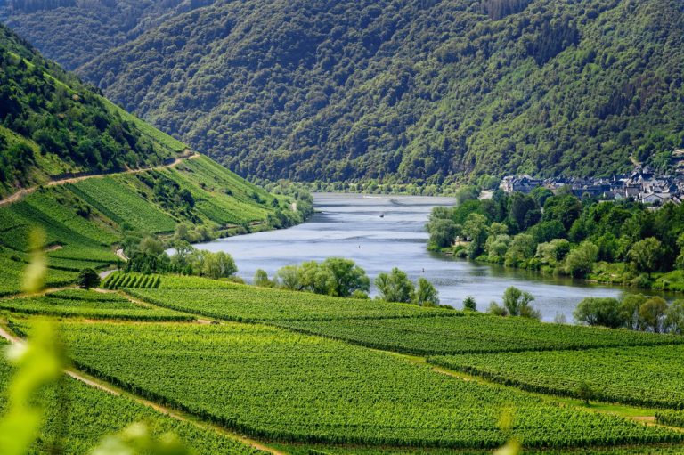SAVE THE DATE – CHINALUX Event “Welcome to Luxembourg”